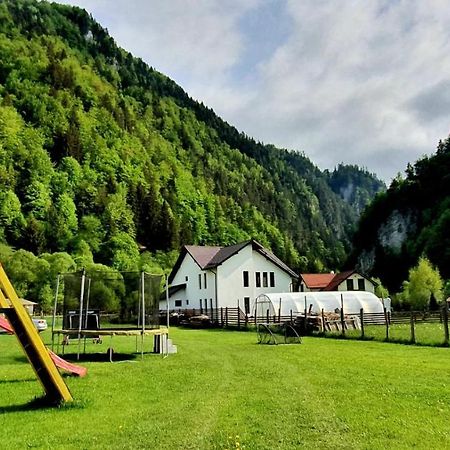 Hotel Casa Petruta Dambovicioara Podu Dimbovitei Exteriér fotografie