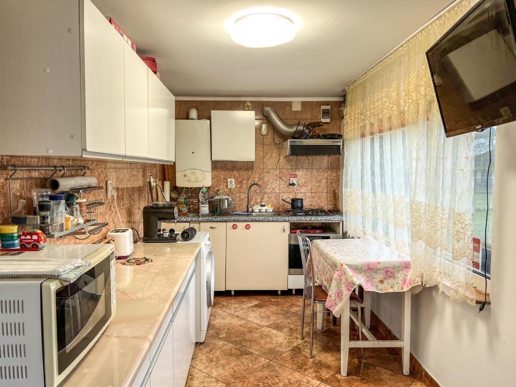 Hotel Casa Petruta Dambovicioara Podu Dimbovitei Exteriér fotografie