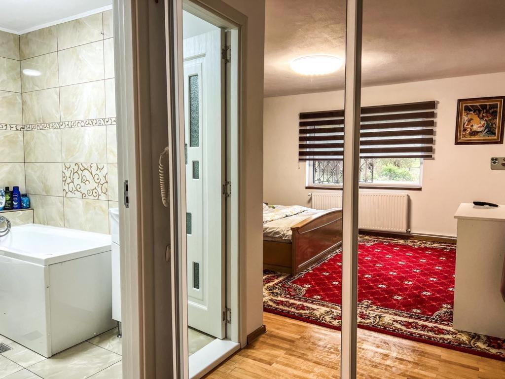 Hotel Casa Petruta Dambovicioara Podu Dimbovitei Exteriér fotografie