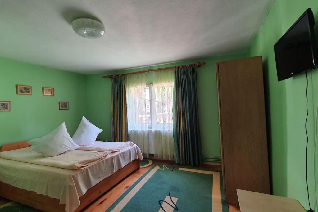 Hotel Casa Petruta Dambovicioara Podu Dimbovitei Exteriér fotografie