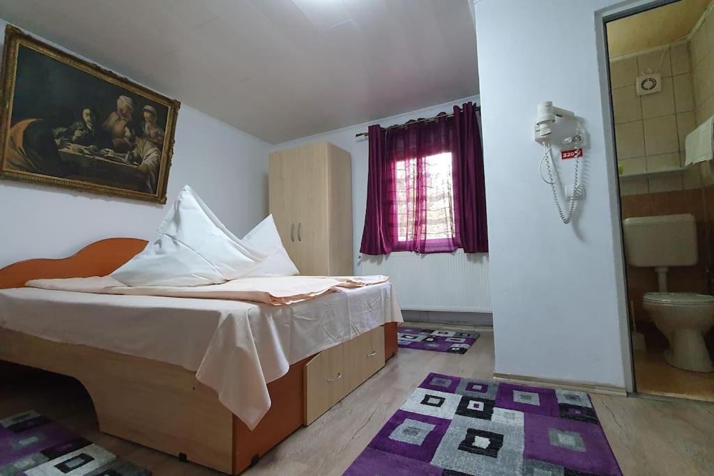 Hotel Casa Petruta Dambovicioara Podu Dimbovitei Exteriér fotografie