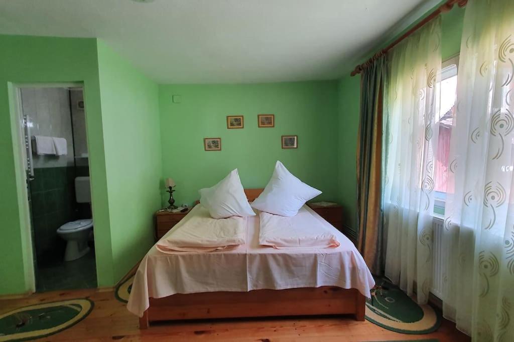 Hotel Casa Petruta Dambovicioara Podu Dimbovitei Exteriér fotografie
