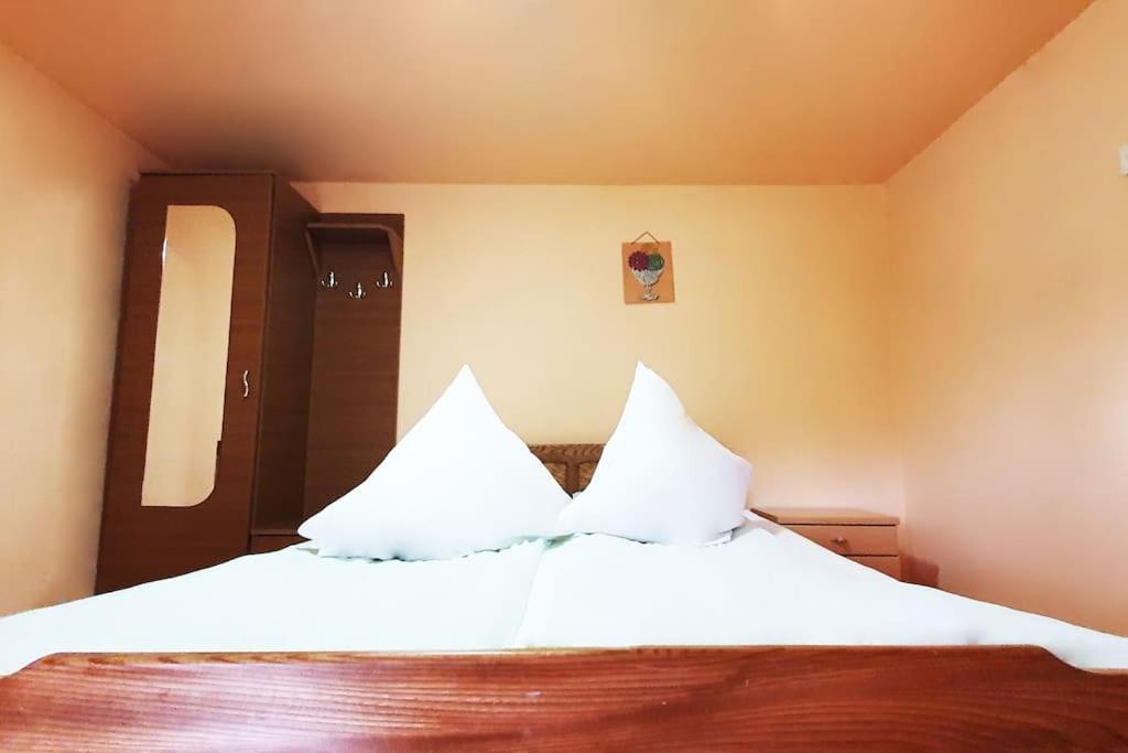 Hotel Casa Petruta Dambovicioara Podu Dimbovitei Exteriér fotografie
