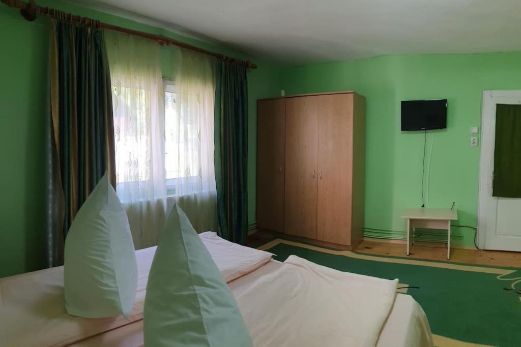 Hotel Casa Petruta Dambovicioara Podu Dimbovitei Exteriér fotografie