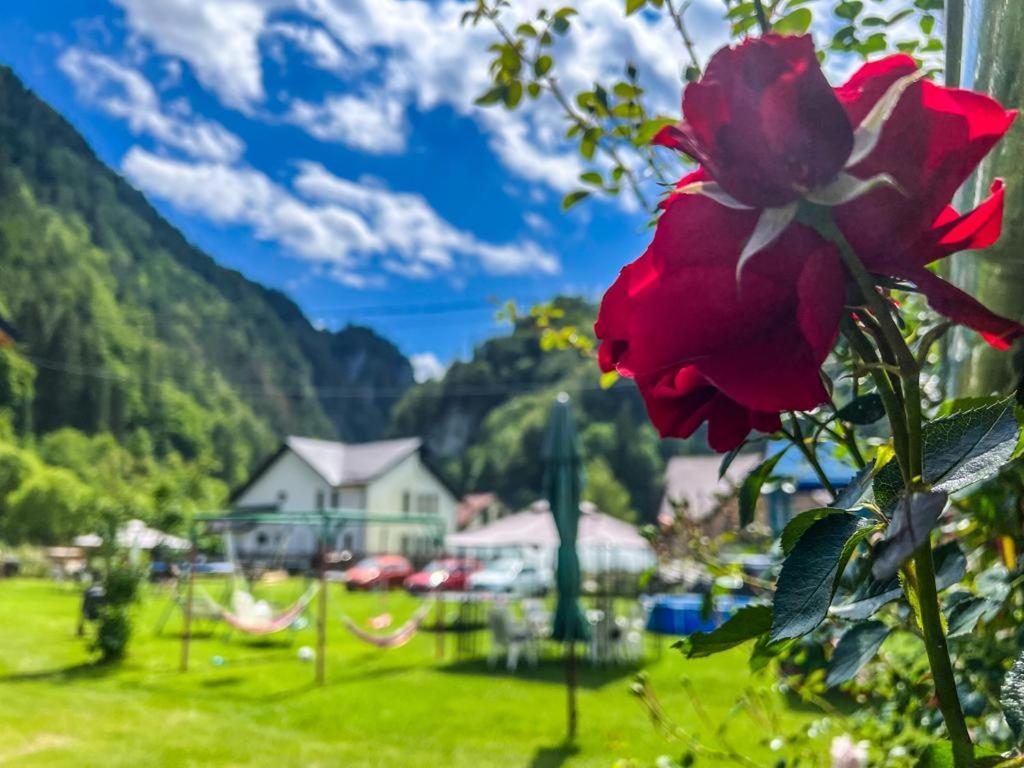 Hotel Casa Petruta Dambovicioara Podu Dimbovitei Exteriér fotografie