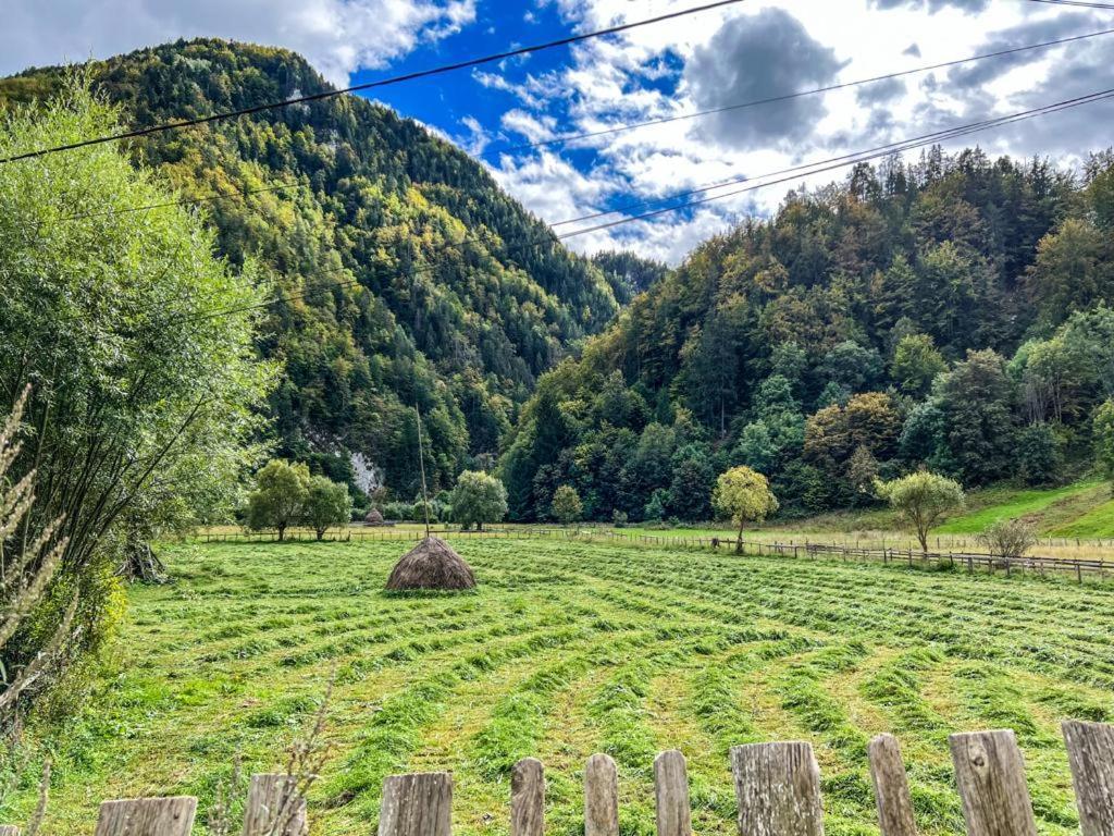 Hotel Casa Petruta Dambovicioara Podu Dimbovitei Exteriér fotografie