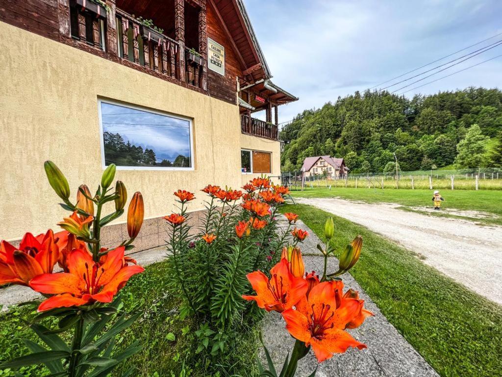 Hotel Casa Petruta Dambovicioara Podu Dimbovitei Exteriér fotografie