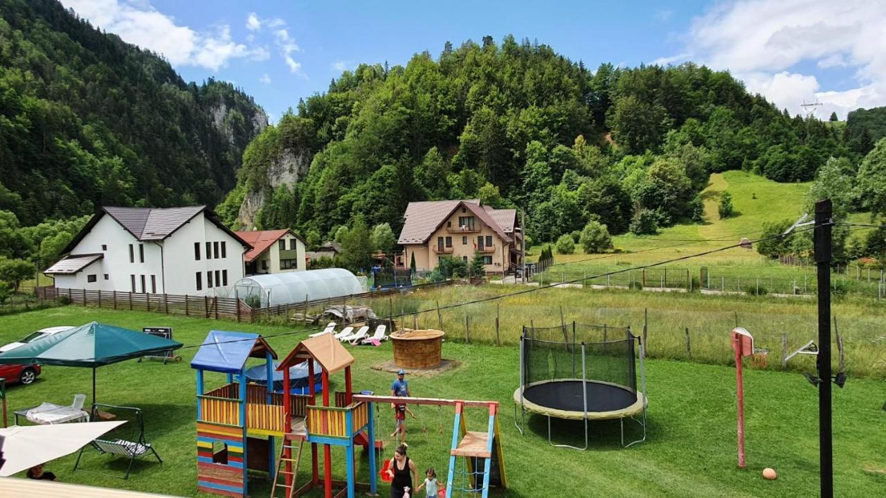 Hotel Casa Petruta Dambovicioara Podu Dimbovitei Exteriér fotografie