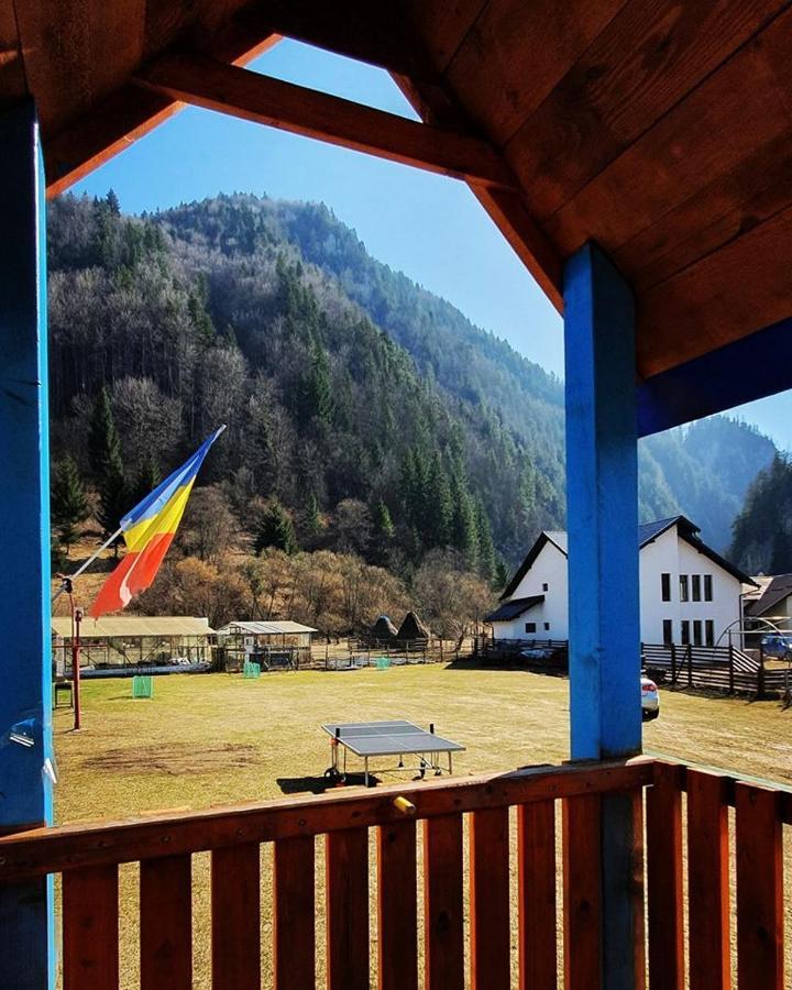Hotel Casa Petruta Dambovicioara Podu Dimbovitei Exteriér fotografie