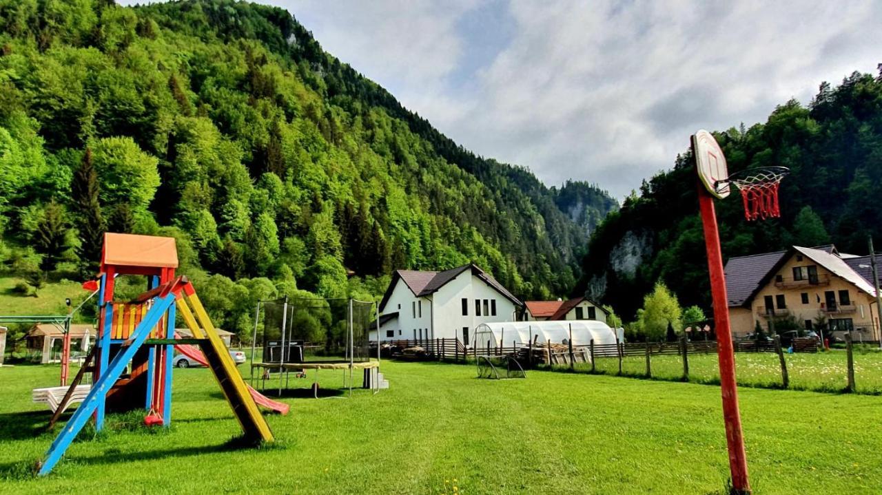 Hotel Casa Petruta Dambovicioara Podu Dimbovitei Exteriér fotografie