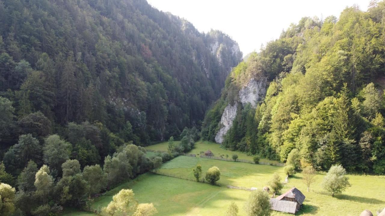 Hotel Casa Petruta Dambovicioara Podu Dimbovitei Exteriér fotografie