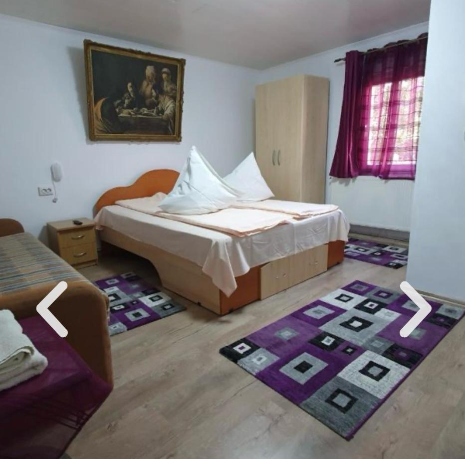Hotel Casa Petruta Dambovicioara Podu Dimbovitei Exteriér fotografie