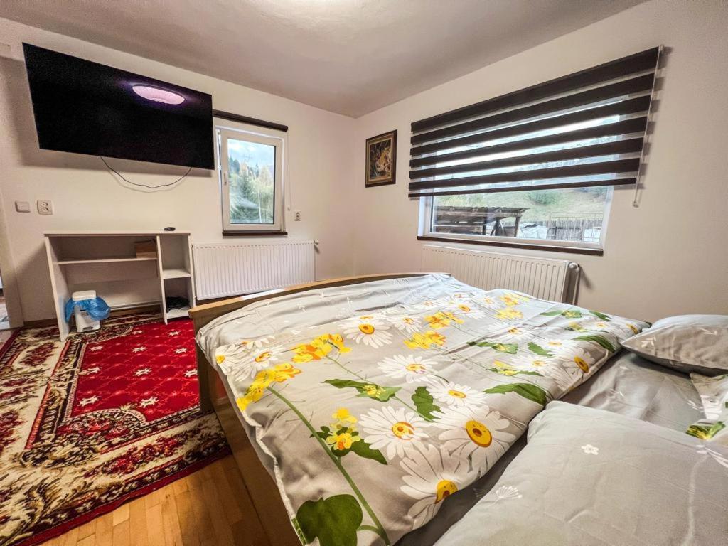 Hotel Casa Petruta Dambovicioara Podu Dimbovitei Exteriér fotografie